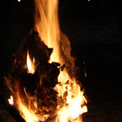 DSC08846.JPG