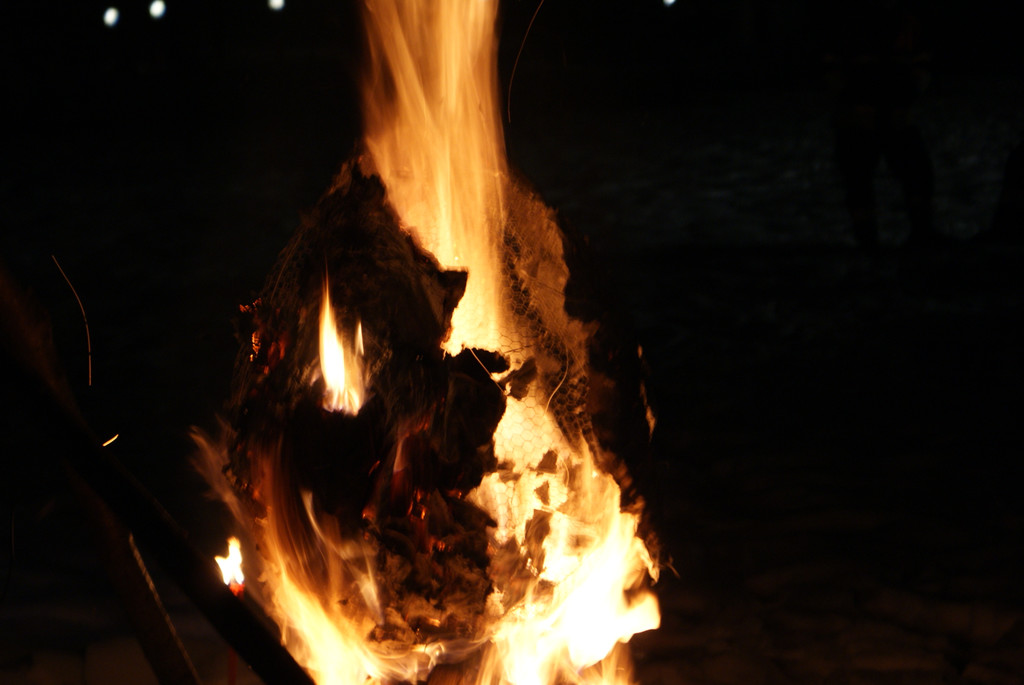 DSC08846.JPG