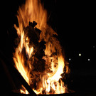 DSC08847.jpg