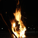 DSC08848.jpg