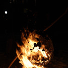 DSC08851.jpg