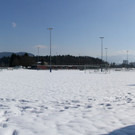 Anlage Neu Amerika - Tiefer Winter statt grüner Rasen von Luggi Knobel