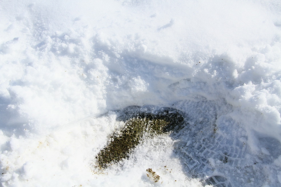 IMG_9493_jpg-1361201669