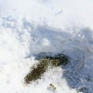 IMG_9493_jpg-1361201669