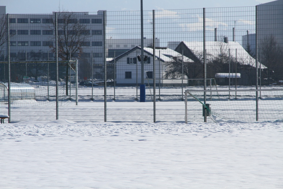 IMG_9515_jpg-1361201691