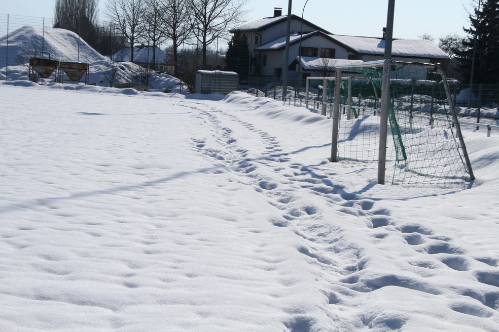 IMG_9542_jpg-1361201746