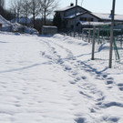 IMG_9542_jpg-1361201746