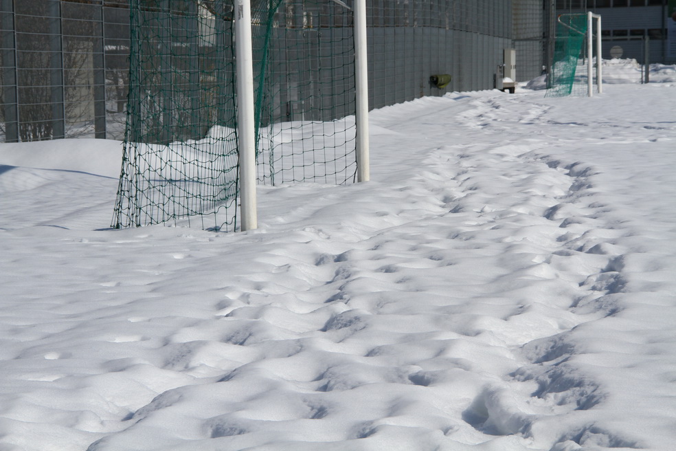 IMG_9552_jpg-1361201757