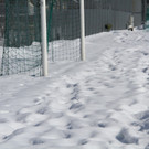 IMG_9552_jpg-1361201757