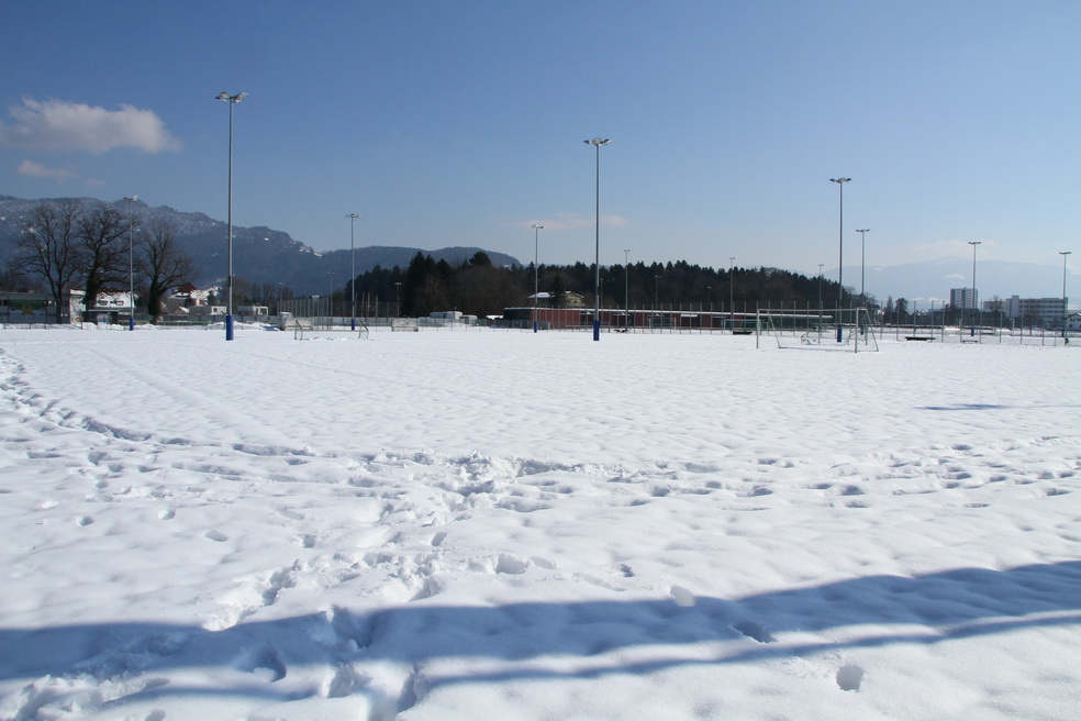 IMG_9557_jpg-1361201775