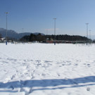 IMG_9557_jpg-1361201775