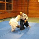 IMG_5817_JPG-1361205700