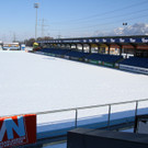 IMG_9666_jpg-1361209006