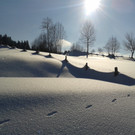 Weitere Bilder aus Alberschwende