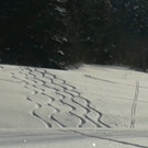20130218_143400_jpg-1361215672