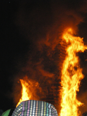 IMGP4122.JPG