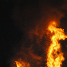 Wind hielt Zuschauer und Feuerwehr auf Trab