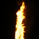IMGP4143.JPG