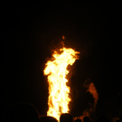 IMGP4144.JPG