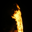 IMGP4156.JPG