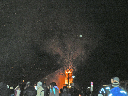 IMGP4207_edited.JPG