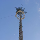 _DSC00080003_1.JPG