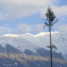 _DSC00250006_1.JPG