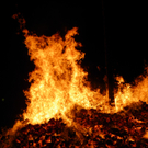 100_4456.jpg
