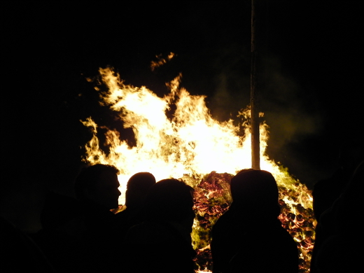 100_4473.jpg