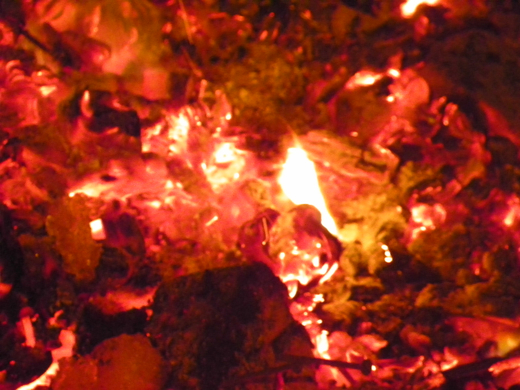 100_4486.jpg