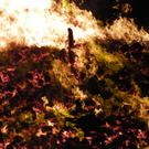100_4540.jpg