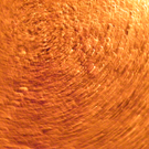 100_4216.jpg
