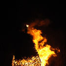 DSC_0356.JPG
