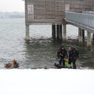 DSCN7757_JPG-1361401025