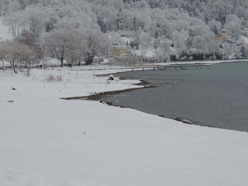 DSCN7767_JPG-1361401037