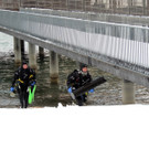 DSCN7761_JPG-1361400840