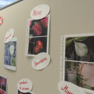 DSCN1116_JPG-1361402848