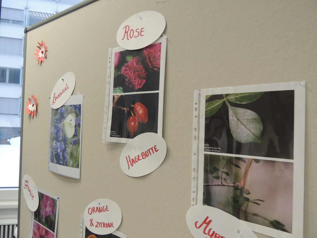 DSCN1116_JPG-1361402848