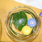 DSCN1130_JPG-1361402895