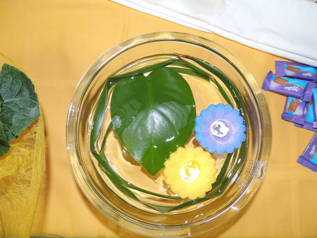 DSCN1130_JPG-1361402895