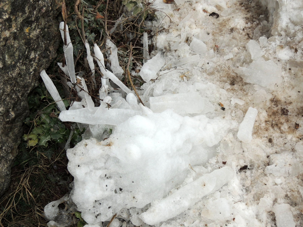 DSCN2185_JPG-1361403832