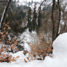 DSCN2121_JPG-1361403820