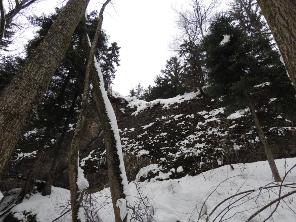 DSCN2175_JPG-1361403824