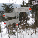 DSCN2261_JPG-1361403862