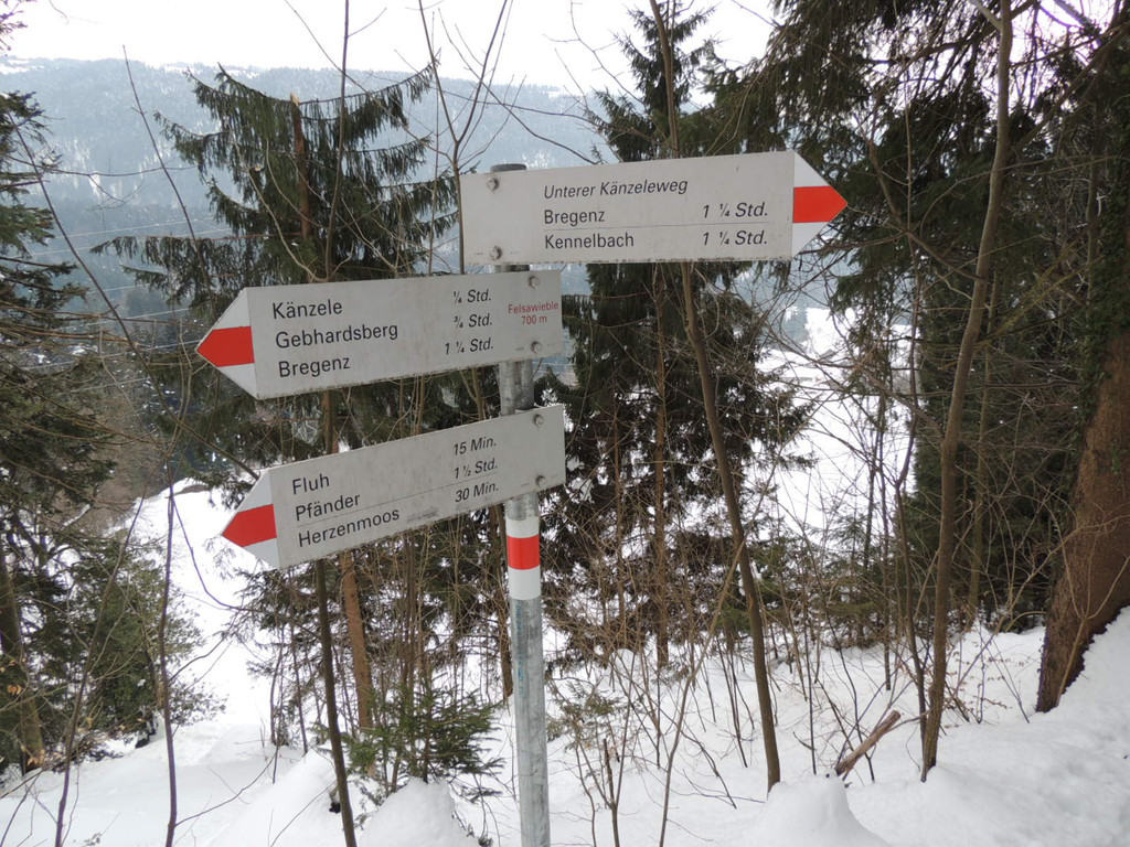 DSCN2261_JPG-1361403862