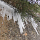 DSCN2250_JPG-1361403850