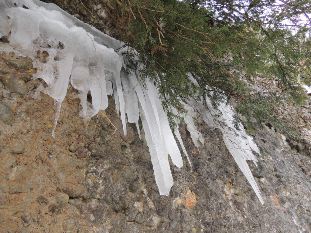 DSCN2250_JPG-1361403850