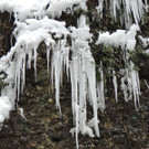 DSCN2178_JPG-1361403828