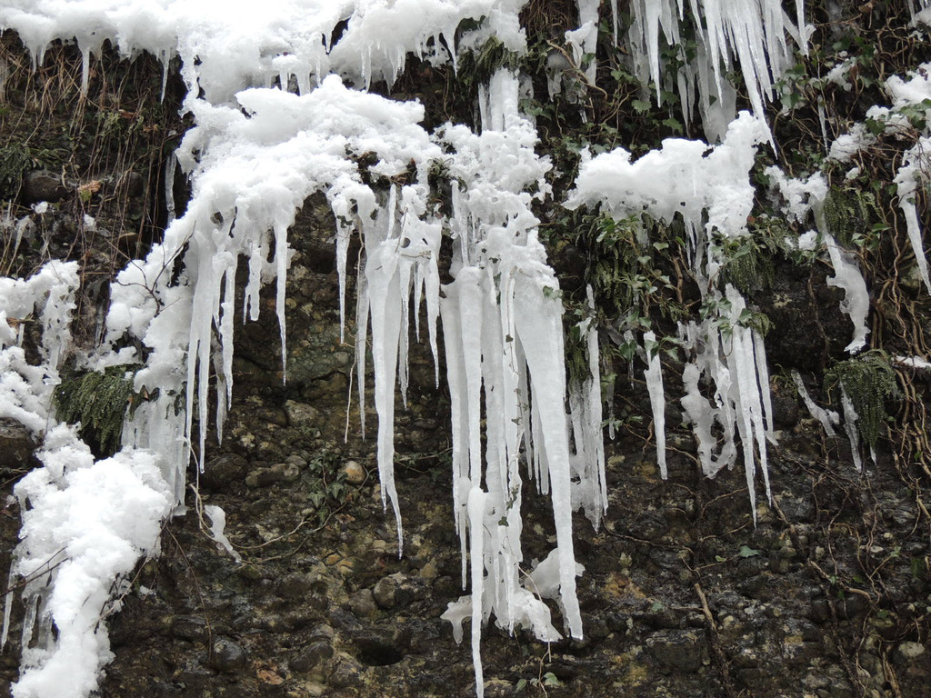 DSCN2178_JPG-1361403828