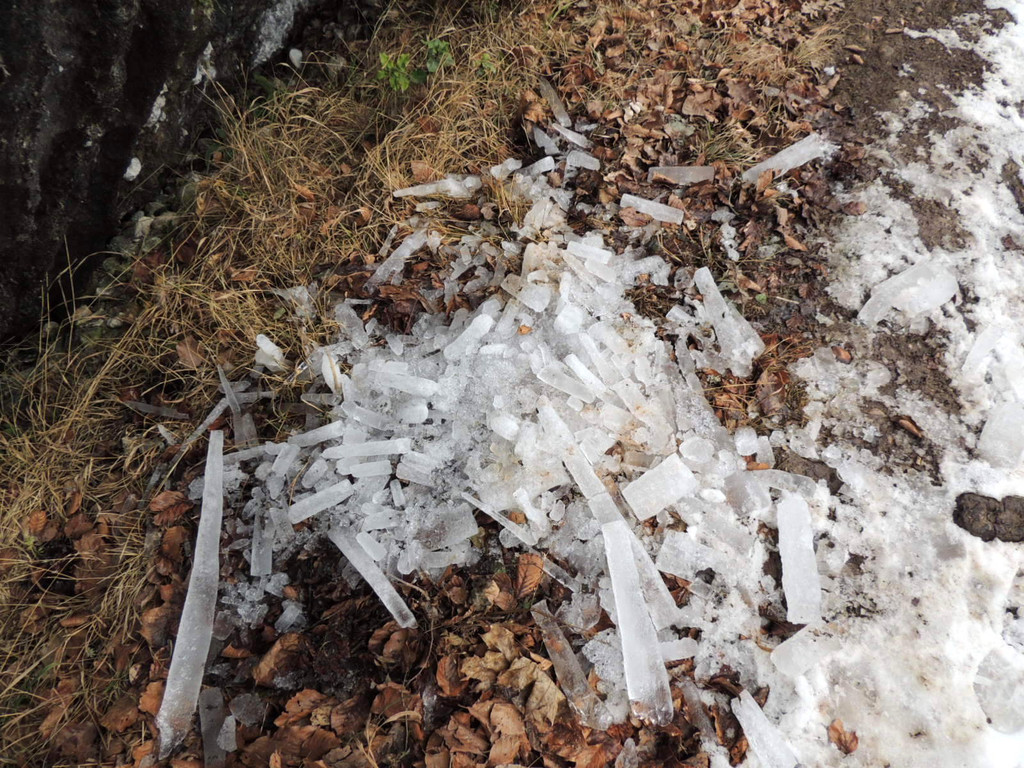 DSCN2189_JPG-1361403835